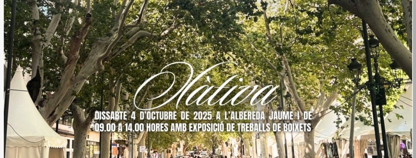 Trobada de boixets
